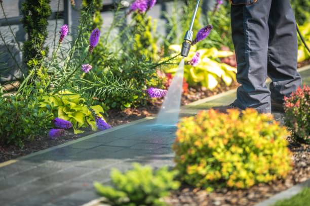 Best Animal Enclosure Cleaning  in Rice Lake, MN